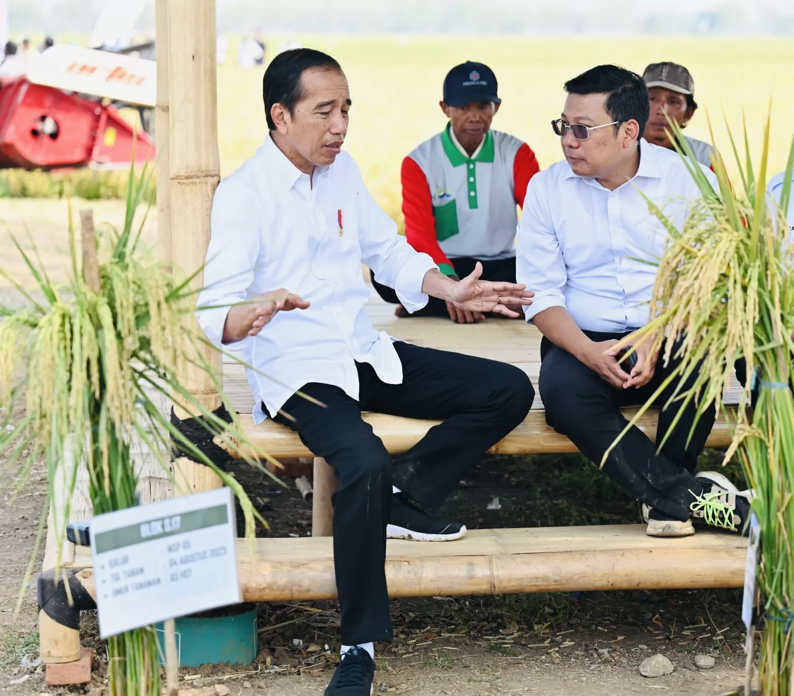 Kepala Bapanas Arief Prasetyo Adi bersama Presiden Jokowi menjelaskan, yang perlu dipahami masyarakat adalah bantuan pangan beras  salah satu program bantalan ekonomi pemerintah. foto: ist