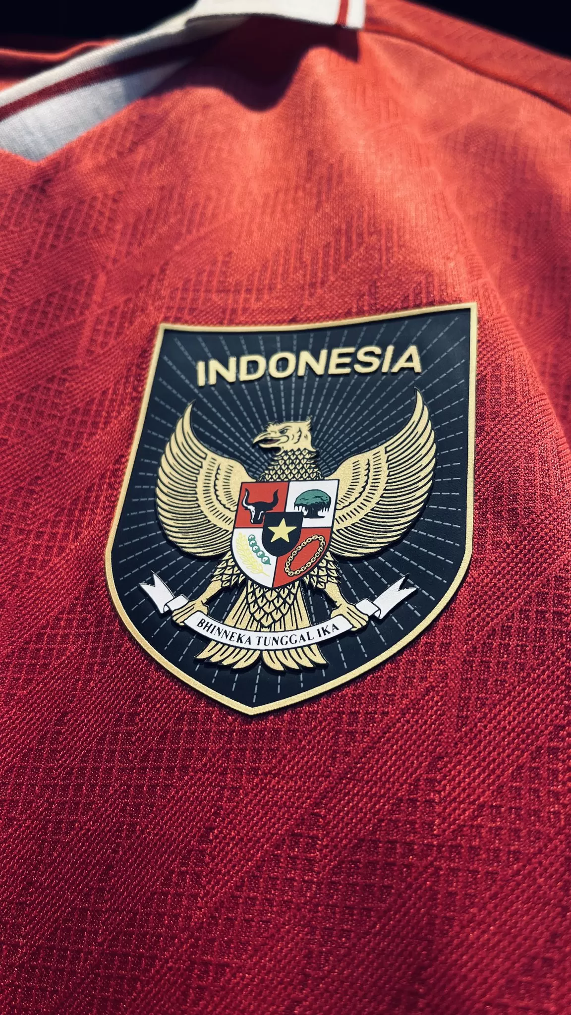 Logo Garuda di kaos jersey Timnas PSSI menuai kritik/IST