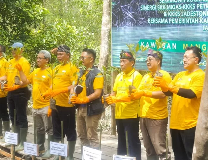 Penanaman Ribuan Mangrove Bentuk Ekowisata Baru Di Tanjung Jabung Barat ...