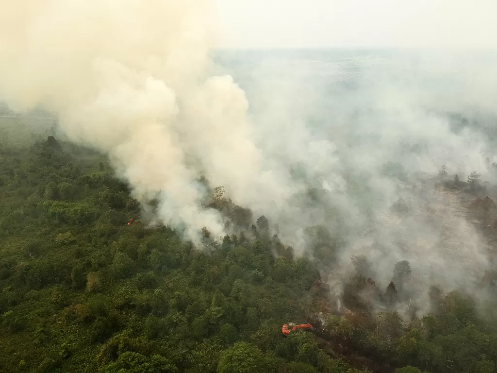Pekerja melakukan penyekatan api di lahan gambut yang terbakar di Kumpeh Ulu, Muarojambi, Jambi, Jumat (9/8/2019). (ANTARA/Wahdi Septiawan).