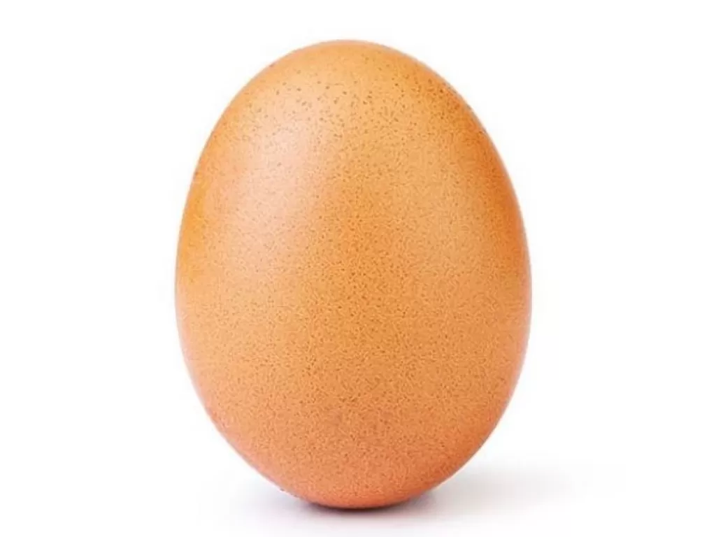 instagram.com/world_record_egg