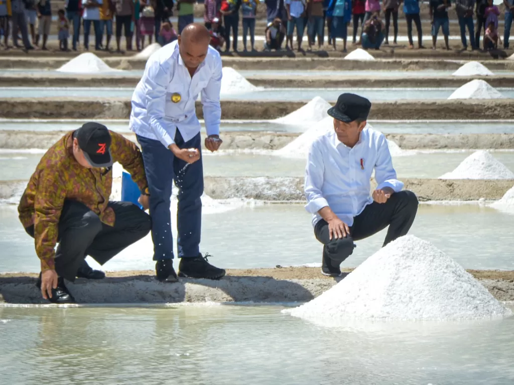 Presiden Jokowi didampingi Menperin dan Gubernur NT meninjau tambak garam, di Desa Nunkurus, Kecamatan Kupang Timur, Kabupaten Kupang, Nusa Tenggara Timur (NTT), Rabu (21/8) siang. (Foto: AGUNG/Humas)