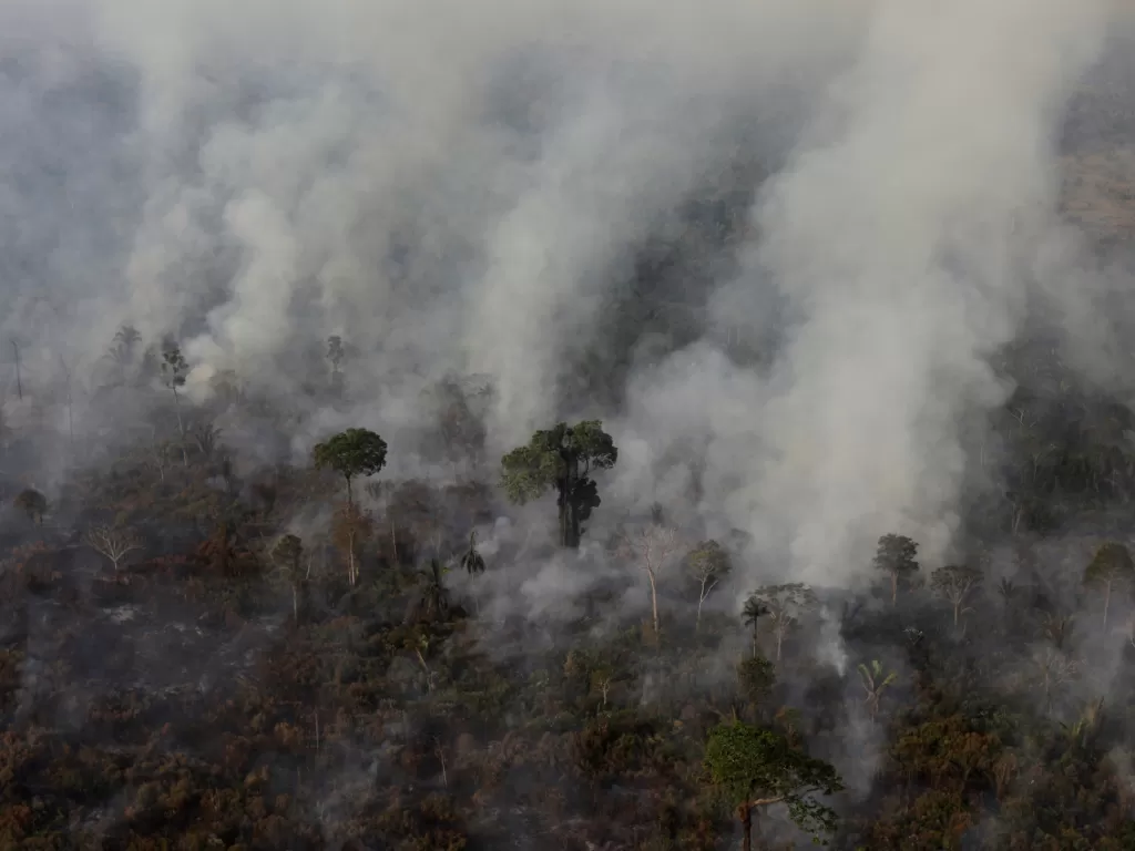 Kebakaran hutan amazon/REUTERS/Ricardo Moraes