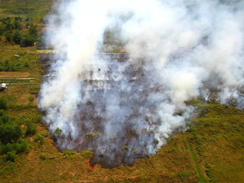 Ilustrasi kebakaran hutan. (Antara/Bayu Pratama)