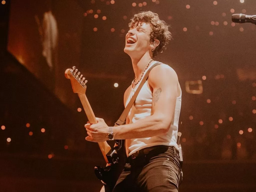 Shawn Mendes (Twitter @shawnmendes)