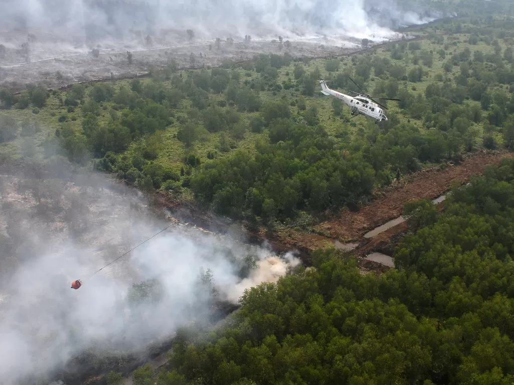Kebakaran hutan dan lahan yang terjadi di Muara Medak, Bayung Lencir, Musi Banyuasin, Sumatera Selatan. (Antara/Wahdi Septiawan)