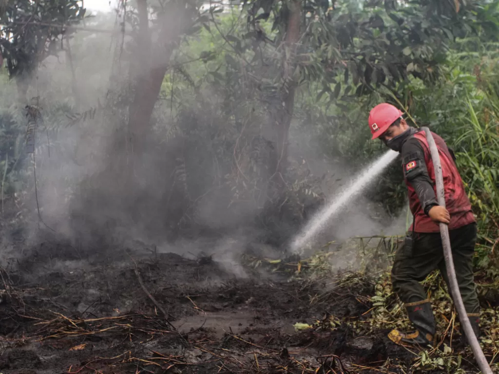 Petugas sedang memadamkan api kebakaran lahan gambut di Pekanbaru, Riau, Sabtu (14/9). (Antara/Rony Muharrman)