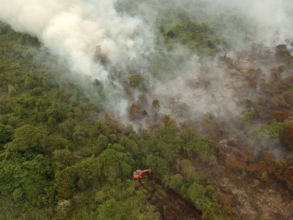 Ilustrasi kebakaran hutan dan lahan. (Antara/Wahdi Septiawan)