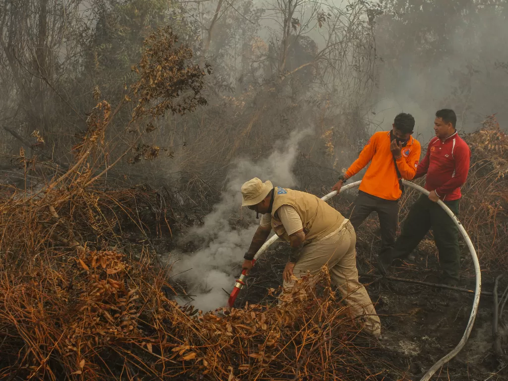 Upaya pemadakam kebakaran hutan di Riau. (Antara Foto/Rony Muharrman)