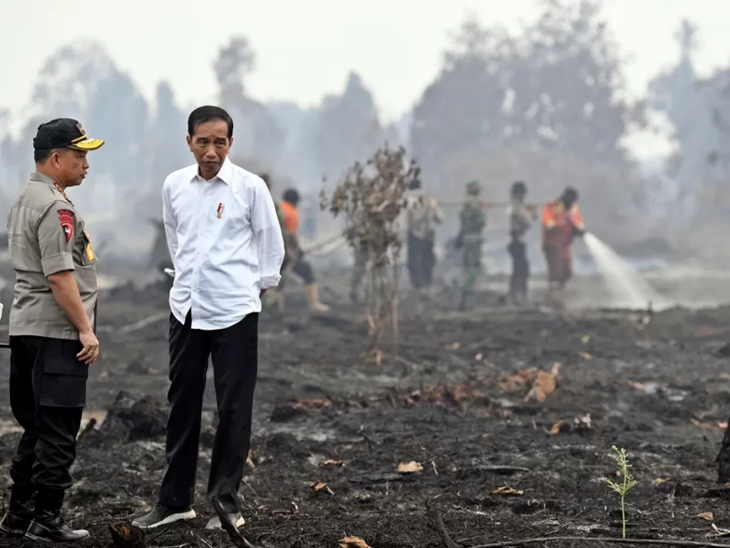 Presiden Joko Widodo (kanan) didampingi Kapolri Jenderal Pol Tito Karnavian meninjau penanganan kebakaran lahan di Desa Merbau, Kecamatan Bunut, Pelalawan, Riau, Selasa (17/9). (Antara/Puspa Perwitasari)