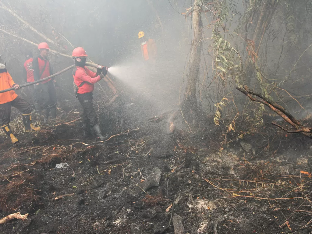 Satgas Karhutla Riau terus berupaya melakukan pemadaman di tengah pekatnya asap kebakaran lahan gambut yang terbakar di Desa Rimbo Panjang, Kabupaten Kampar, Riau, Senin (16/9/2019). (ANTARA FOTO/Rony Muharrman/ama)