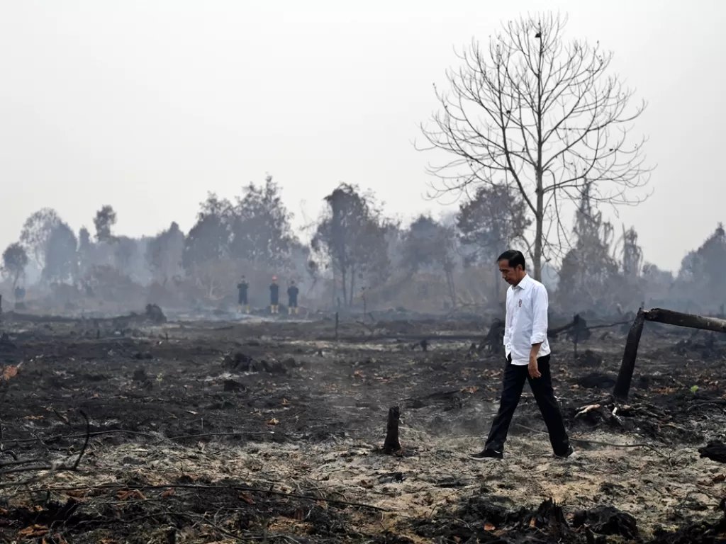 Presiden Jokowi meninjau penanganan kebakaran lahan di Desa Merbau, Kecamatan Bunut, Pelalawan, Riau, Selasa (17/9). (Antara/Puspa Perwitasari)