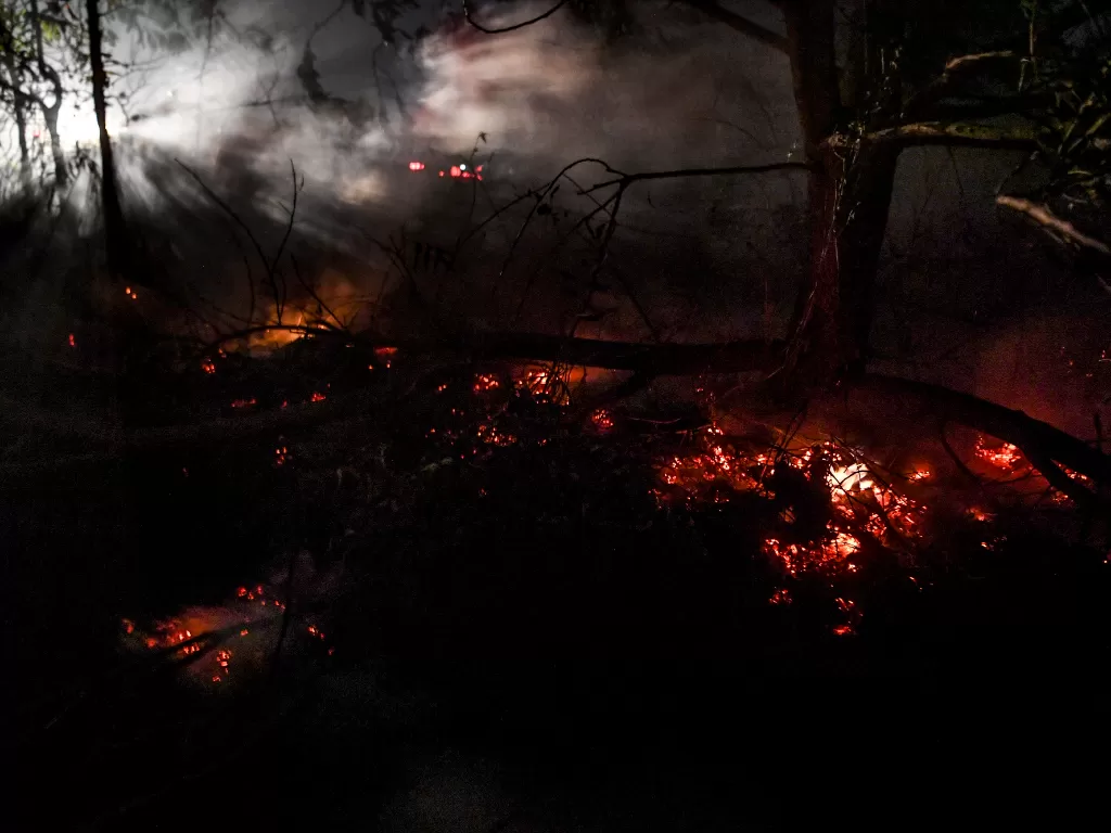 Bara api terlihat di lahan yang terbakar di daerah Sebangau, Palangka Raya, Kalimantan Tengah (Antara/Hafidz Mubarak).