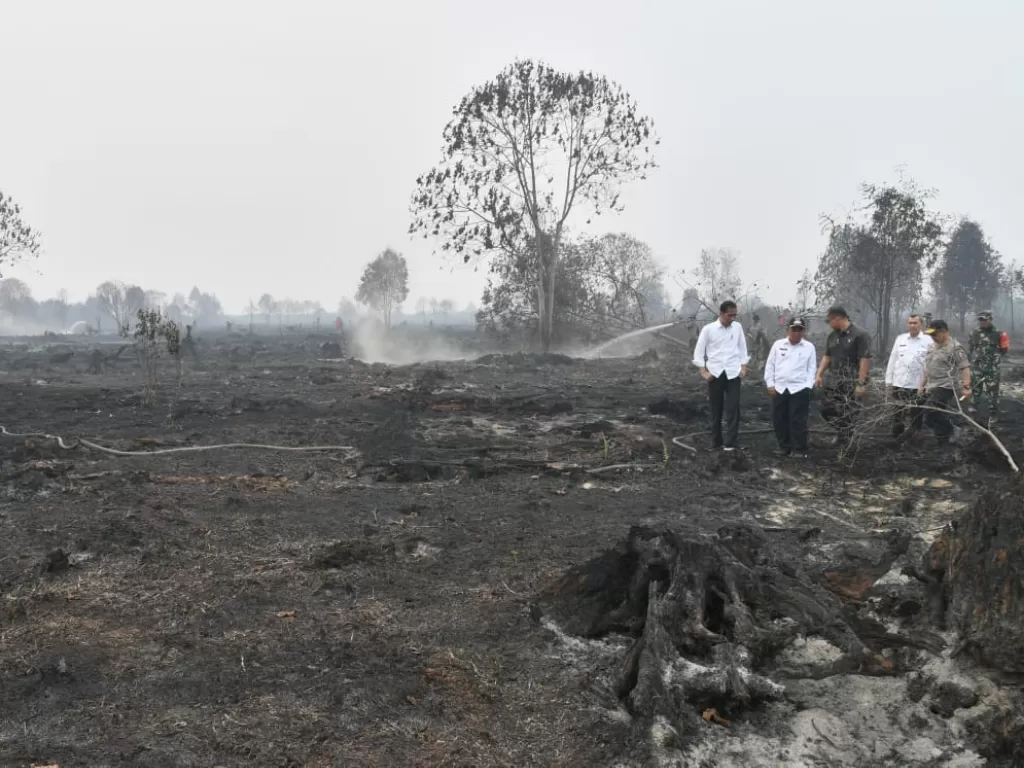 Jokowi pantau lokasi kebakaran hutan dan lahan di Provinsi Riau. (Laily Rachev/Biro Pers Sekretariat Presiden)
