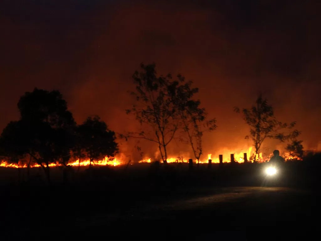 Pengendara sepeda motor melintas di samping lahan gambut yang terbakar di kelurahan Guntung Manggis Banjarbaru, Kalimantan Selatan, Rabu (28/8). (Antara/Bayu Pratama S).