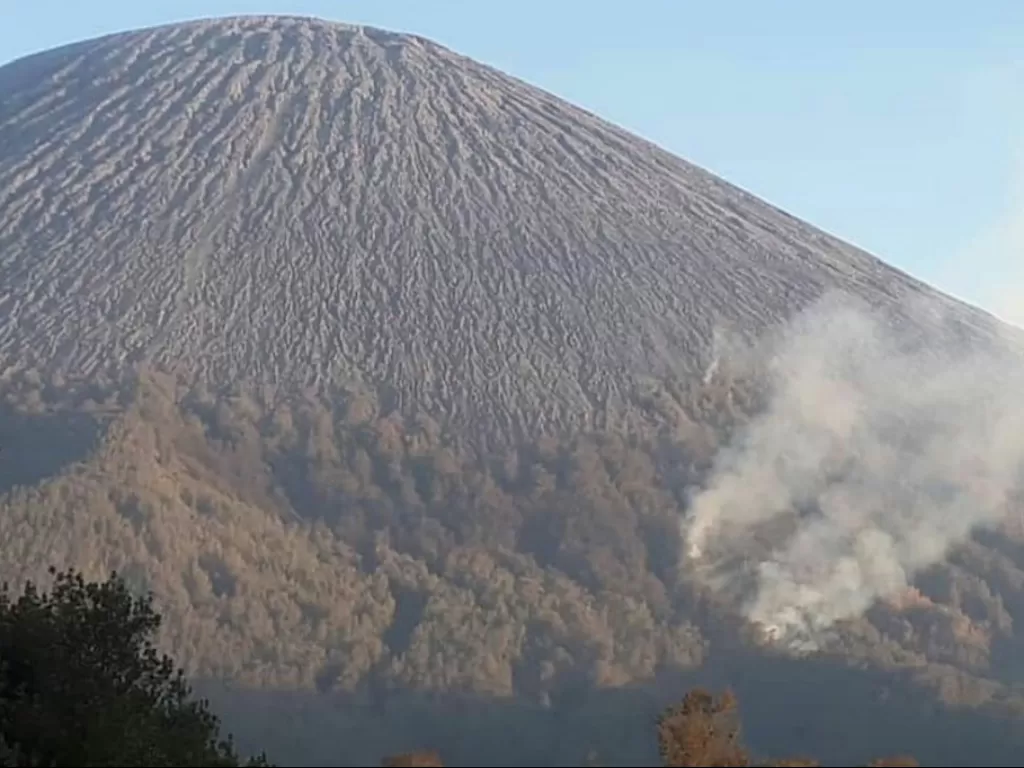 Kebakaran hutan di jalur pendakian Gunung Semeru. (Humas TNBTS)