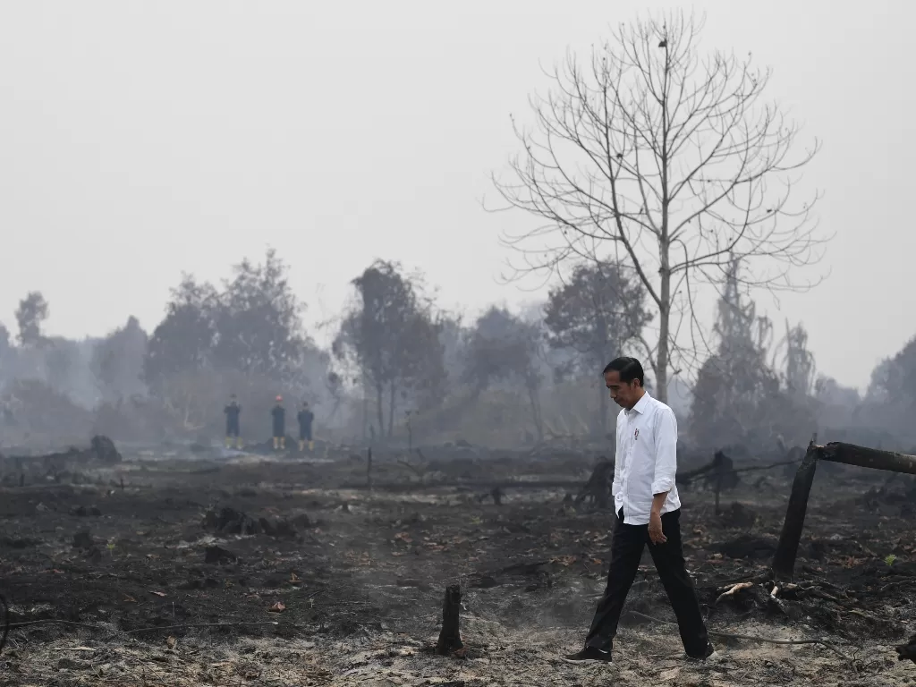 Presiden Joko Widodo meninjau penanganan kebakaran lahan di Desa Merbau, Kecamatan Bunut, Pelalawan, Riau, Selasa (17/9). (Antara/Puspa Perwitasari).