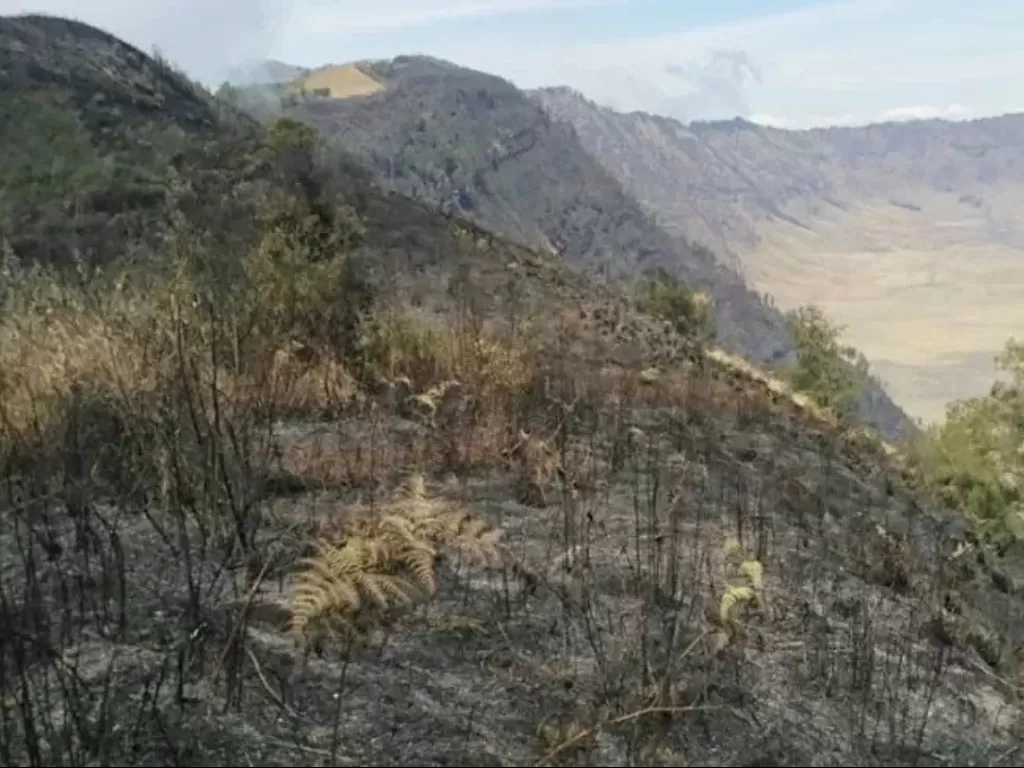 Salah satu area yang terbakar di jalur pendakian Gunung Semeru, Jawa Timur. (Humas Balai Besar TNBTS)
