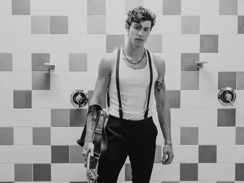 Shawn Mendes (Instagram @shawnmendes)