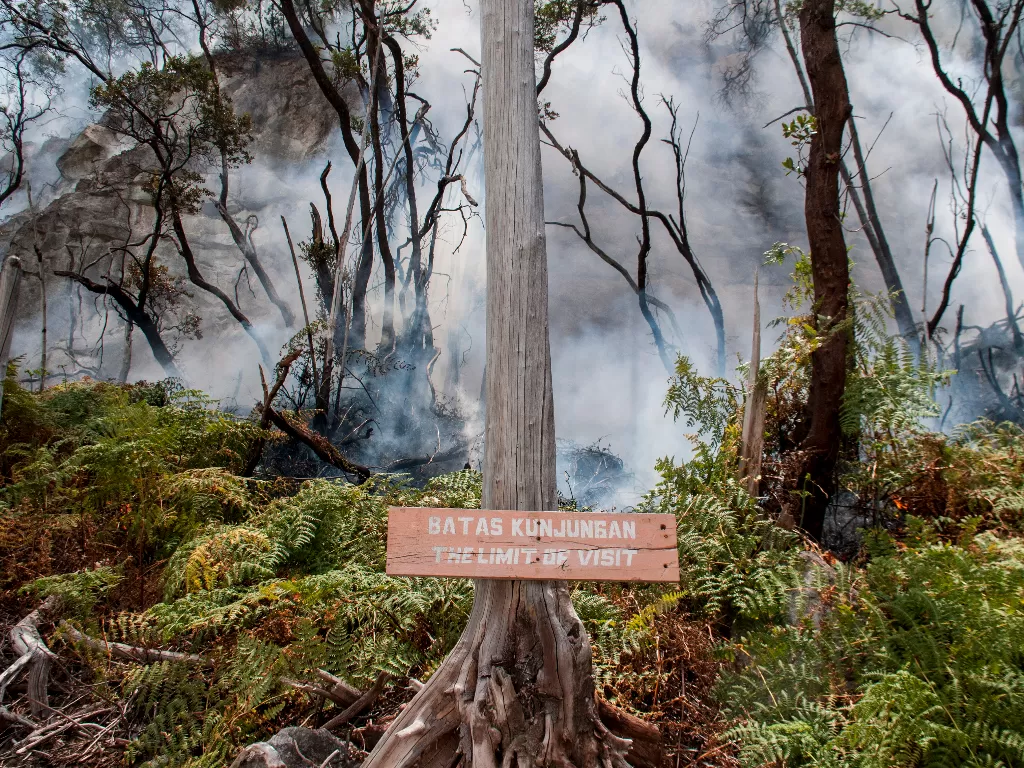 Kondisi hutan yang tertutup asap dari titik api yang membakar hutan tropis kawasan Taman Wisata Alam Kawah Putih Gunung Patuha, Kabupaten Bandung, Jawa Barat. (Antara/Novrian Arbi)