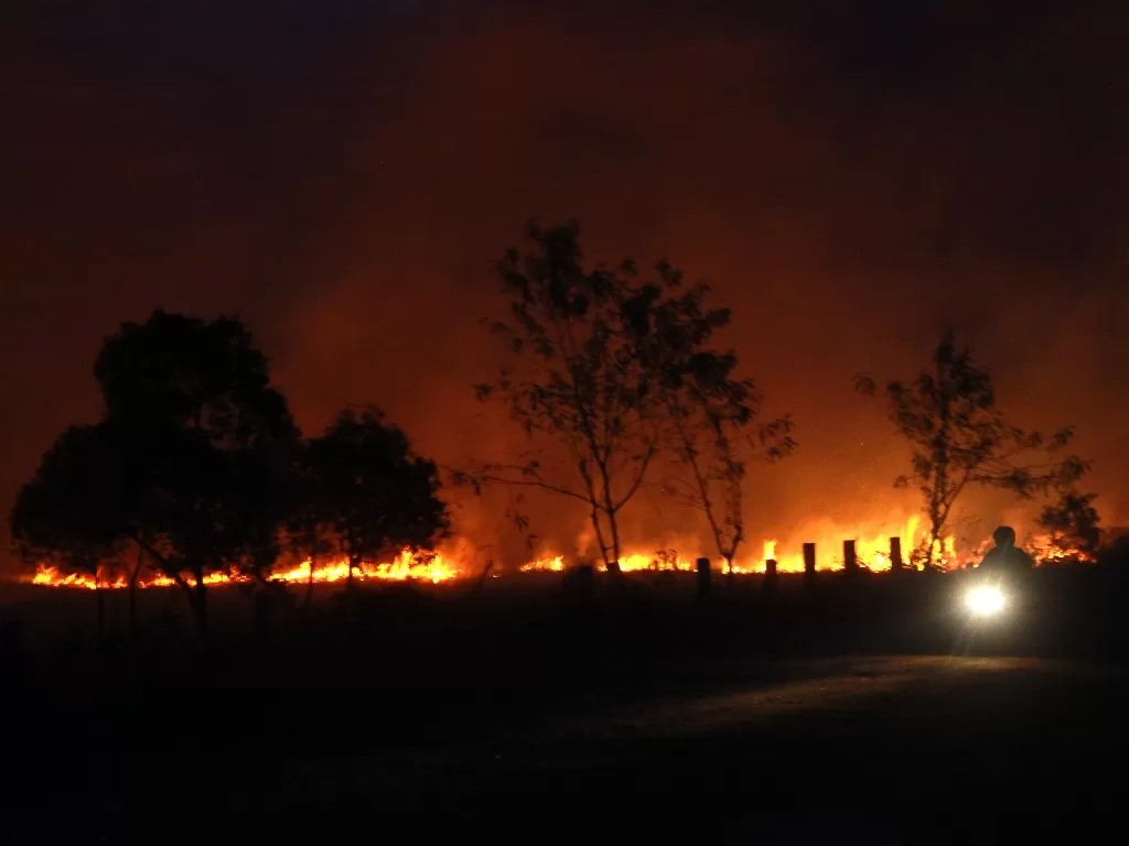 Ilustrasi kebakaran lahan di Bandung (Antara/Bayu Pratama S).