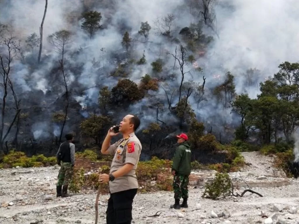 Kebakaran di kawasan Kawah Putih Ciwidey, Kabupaten Bandung, Jawa Barat. (Polsek Ciwidey)