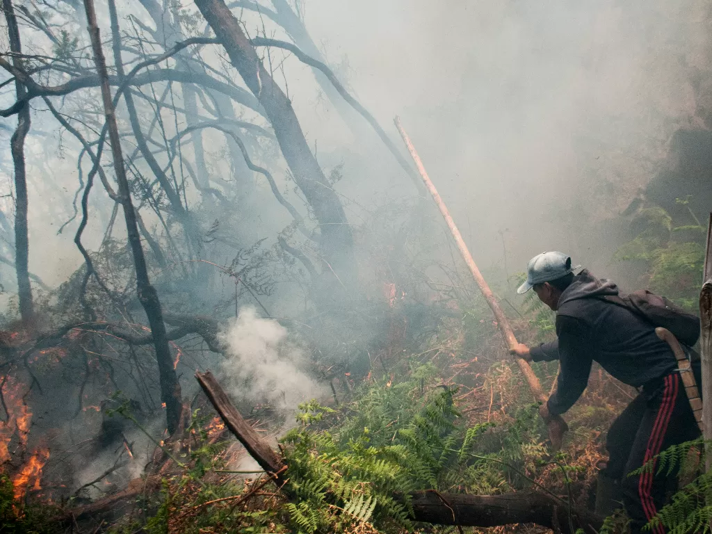 Relawan memadamkan titik api yang membakar hutan tropis kawasan Taman Wisata Alam Kawah Putih Gunung Patuha, Kabupaten Bandung, Jawa Barat. (Antara/Novrian Arbi)