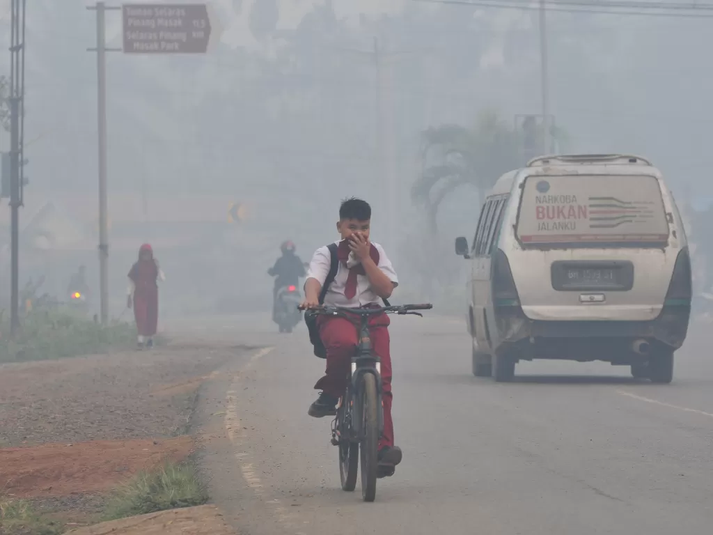 Asap karhutla di Muara Sabak Barat, Tanjungjabung Timur, Jambi, Rabu (9/10/2019). (ANTARA FOTO/Wahdi Septiawan/foc)