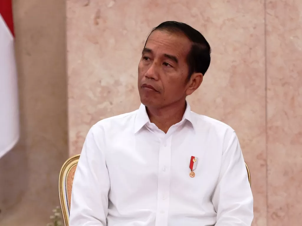 Presiden Jokowi mendapat saran soal pemilihan menteri BUMN dan ESDM (Antara/Akbar Nugroho Gumay).