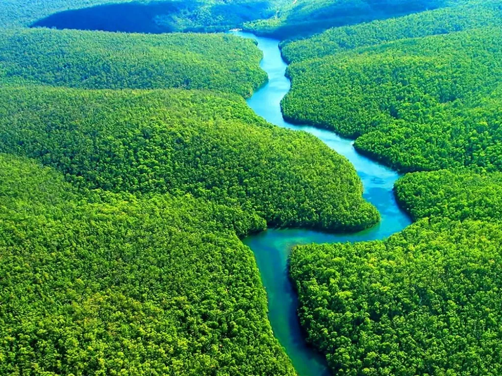 Hutan Amazon. (neomondo)