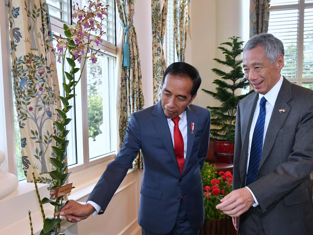 Presiden Joko Widodo (kiri) bersama Perdana Menteri Singapura Lee Hsien Loong. (ANTARA FOTO/Biropers-Laily/pus//foc) 