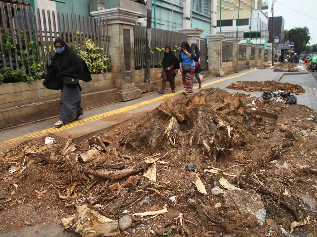 Revitalisasi trotoar oleh Pemprov DKI Jakarta dengan menebang pohon di kawasan Cikini dikeluhkan para pejalan kaki karena kawasan tersebut menjadi gersang dan panas. ANTARA FOTO/Reno Esnir