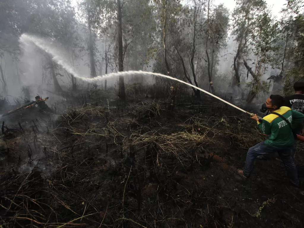 Ilustrasi petugas memadamkam kebakaran hutan dan lahan. ANTARA FOTO/Bayu Pratama S