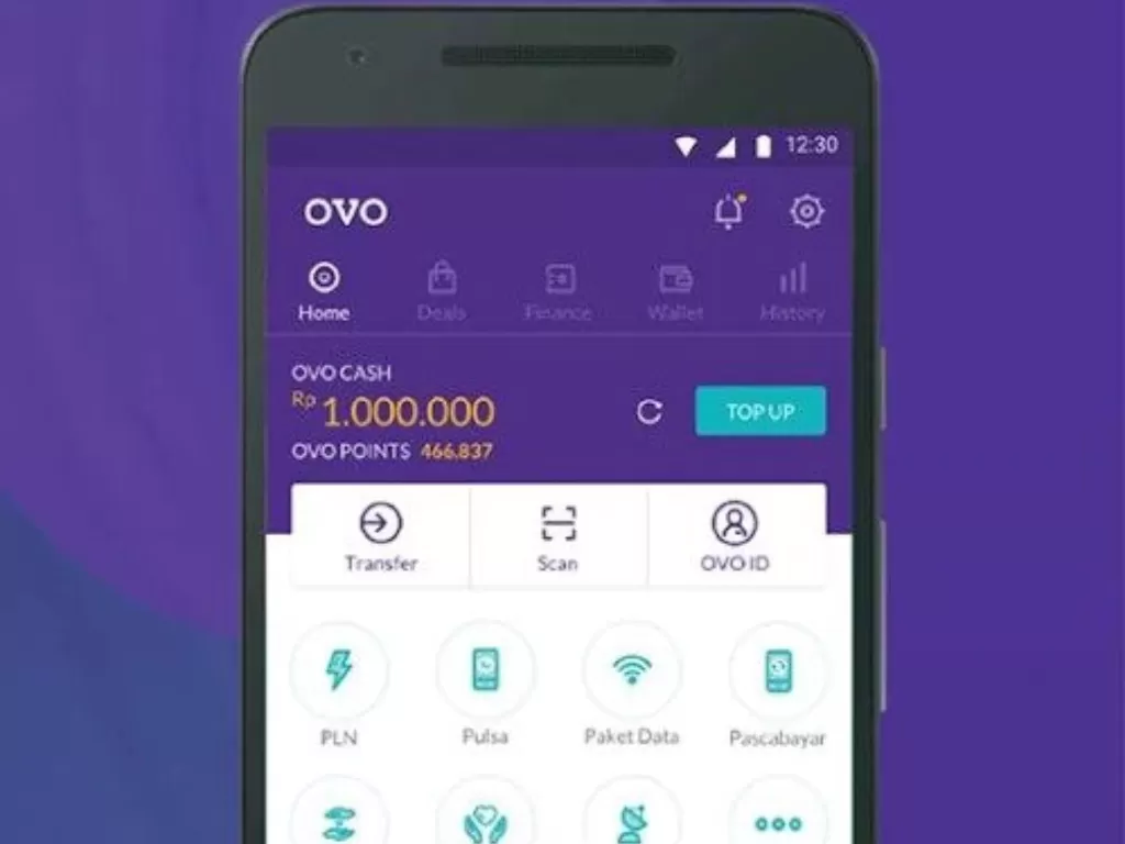OVO (Dok. Google Play)