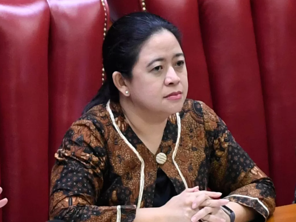 Ketua Dewan Perwakilan Rakyat (DPR) Republik Indonesia Puan Maharani. (Antara/Puspa Perwitasari)