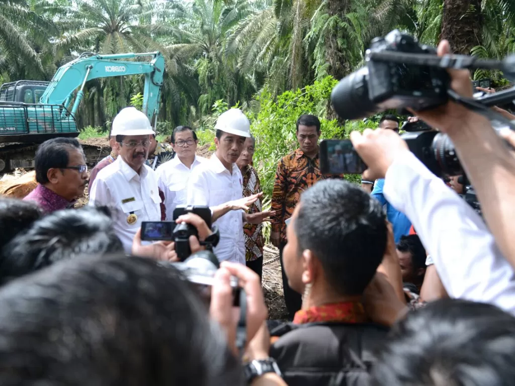Presiden Jokowi saat meninjau kebun sawit. (Setkab).