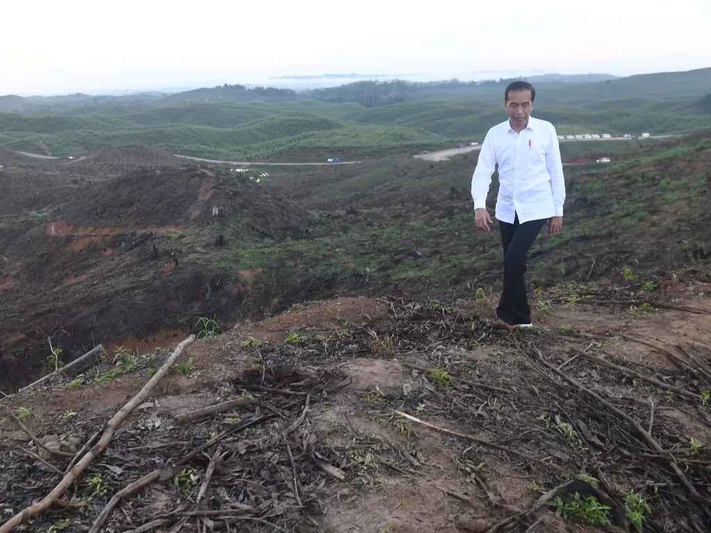 Presiden Joko Widodo meninjau lokasi rencana ibu kota baru di Sepaku, Penajam Paser Utara, Kalimantan Timur, Selasa (17/12). (Antara/Akbar Nugroho Gumay)