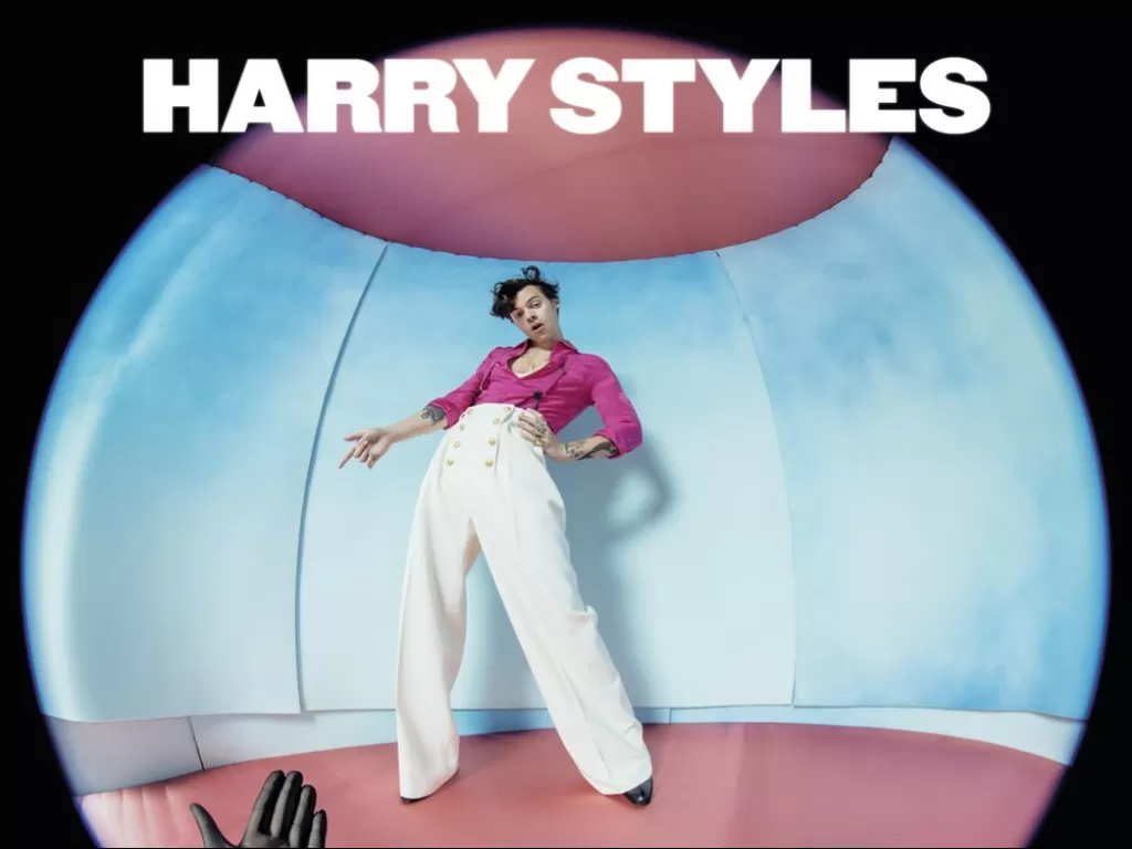 Harry Styles (Instagram/harrystyles)