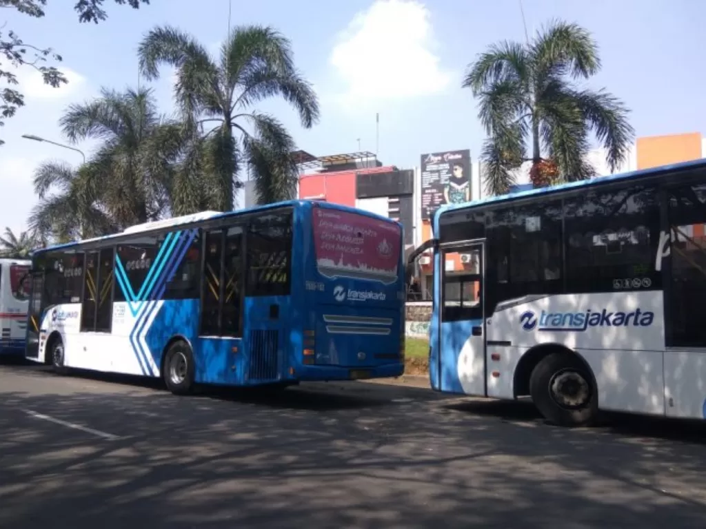 Ilustrasi Bus TransJakarta (Antara/Irfan)