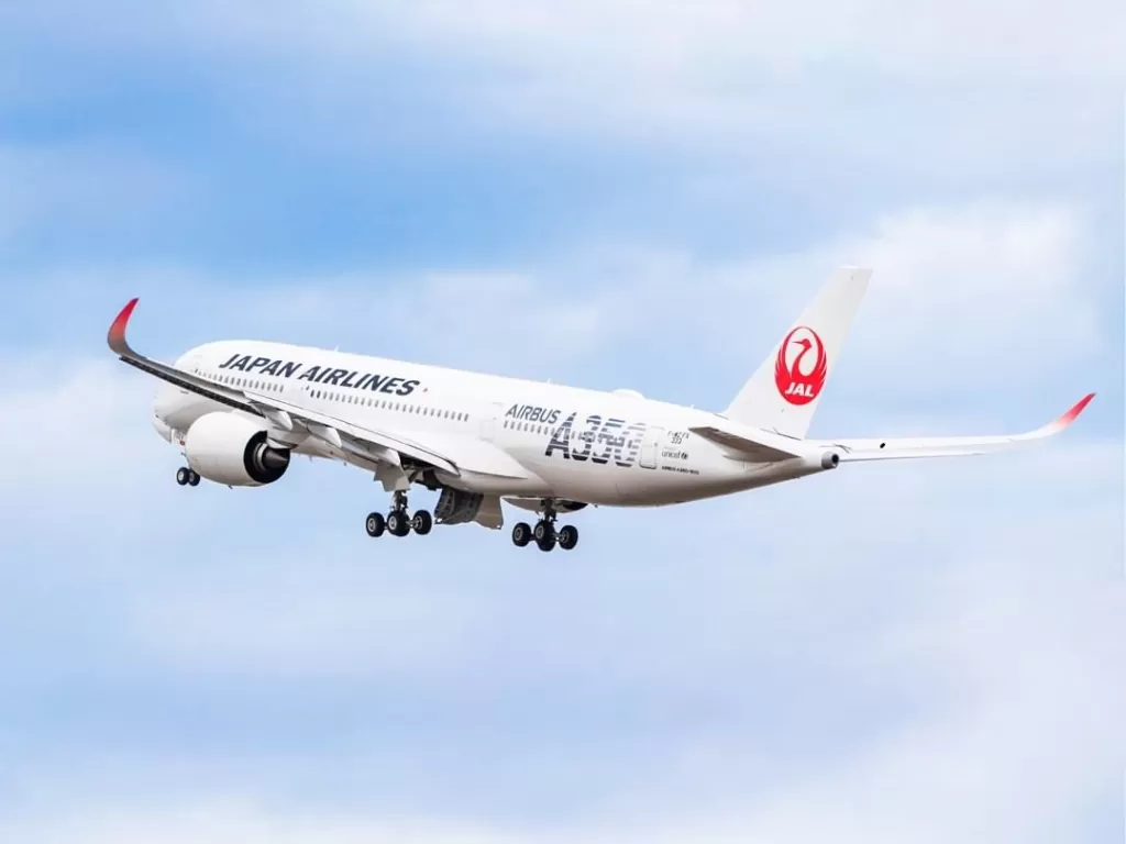 Japan Airlines (Instagram/japanairlines_jal)