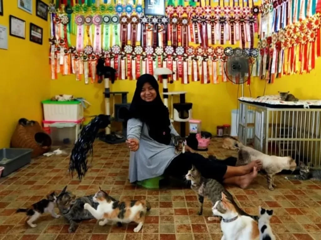 Dita Agusta, pemilik ratusan kucing (Dok. berita.mediacorp.sg)