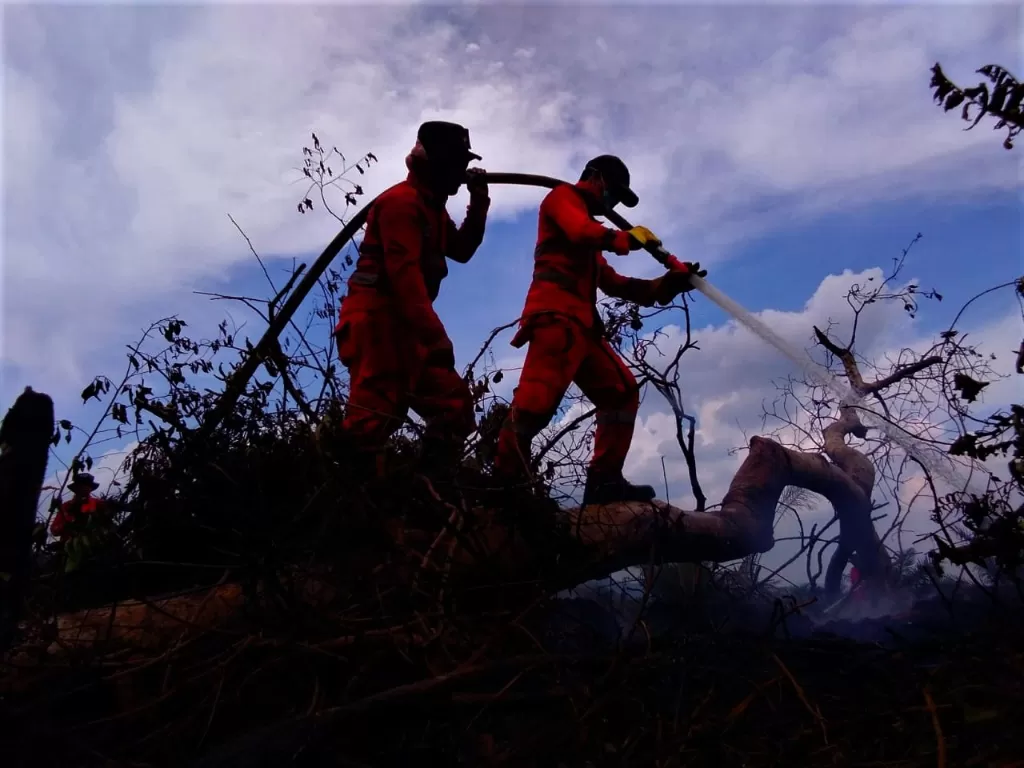 Personel Manggala Aqni melakukan pemadaman karhutla gambut di lahan masyarakat di Kecamatan Lalolae, Kolaka Timur, Sulawesi Tenggara, Selasa (3/12). (Antara/ManggalaAqni)