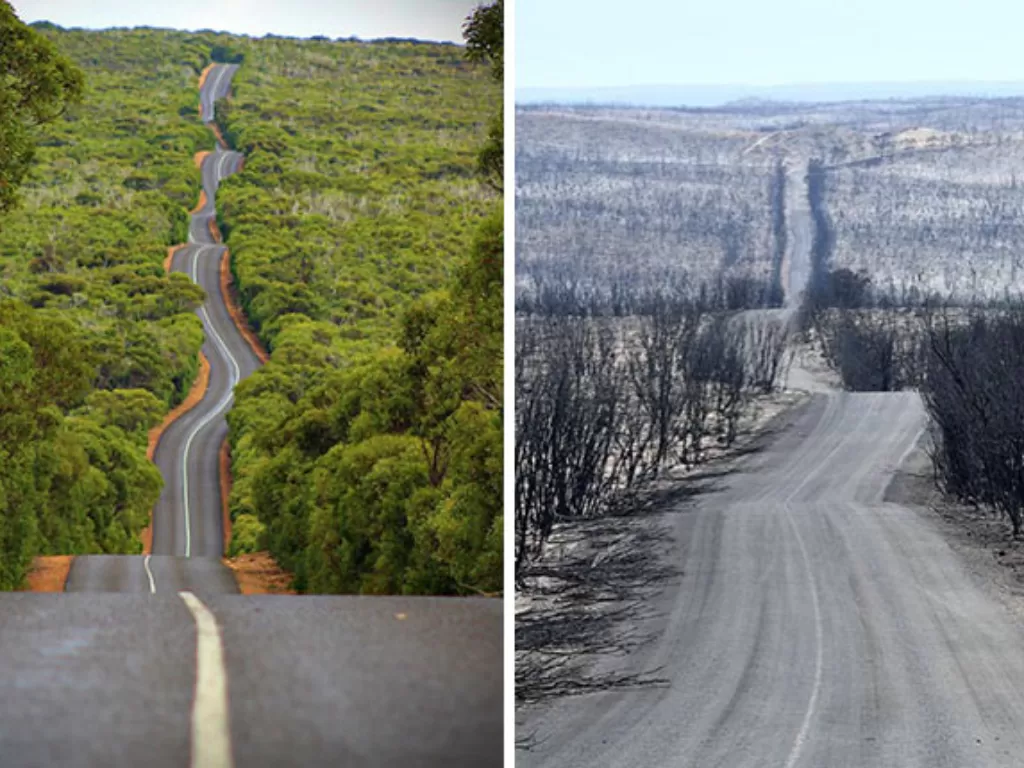 Perbedaan foto sebelum dan sesudah kebakaran Australia (Boredpanda)