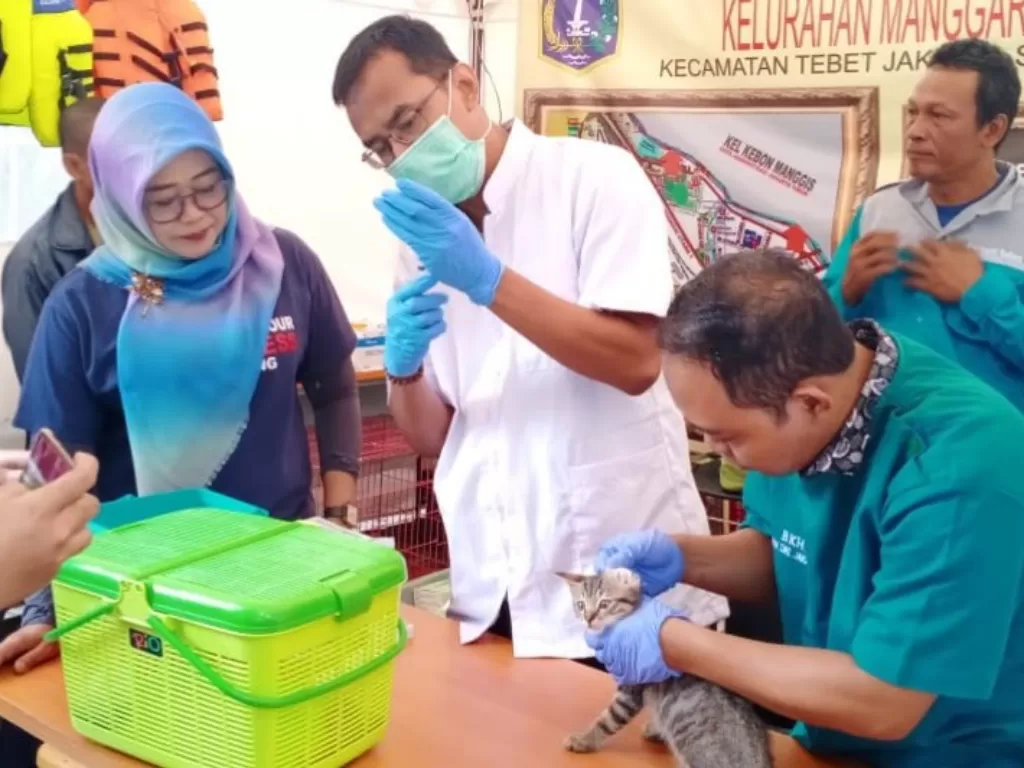 Dokter hewan dari Suku Dinas Ketahanan Pangan Kelautan dan Perikanan (KPKP) Kota Administrasi Jakarta Selatan memeriksa kesehatan hewan terdampak banjir di Kelurahan Manggarai, Tebet, Jumat (10/1/2020) (photo/dok.Kominfotik Jakarta Selatan)