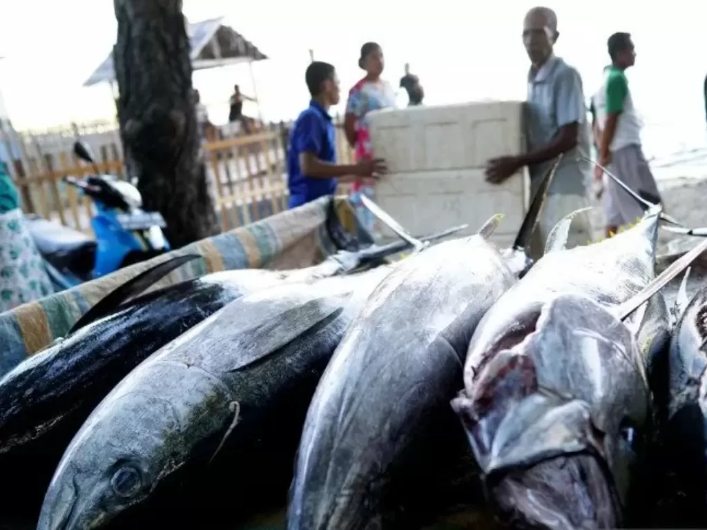Nelayan mengangkut tuna segar untuk dijual di Pantai Dulanga di Kabupaten Gorontalo, Gorontalo. photo/ANTARA/Adiwinata Solihin