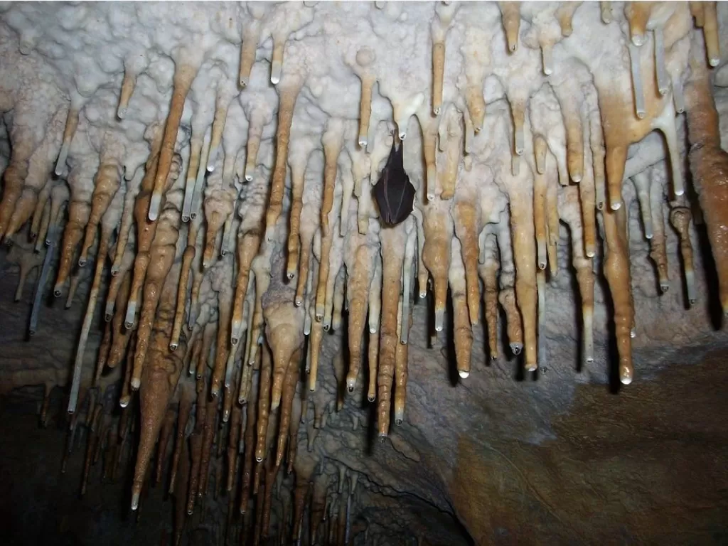 Stalagmit dan stalaktit. (Pixabay/Seagul)