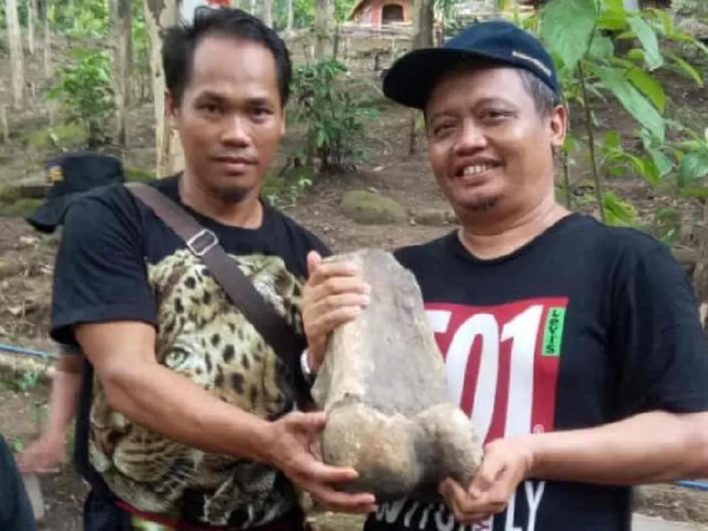 Ketua Tim Ahli Cagar Budaya Indramayu Dedy S Musashi (kanan) saat menunjukkan fosil gajah purba yang ditemukan di Desa Cikawung, Kabupaten Indramayu, Kamis 16 Januari 2020. ANTARA/Ho TACB