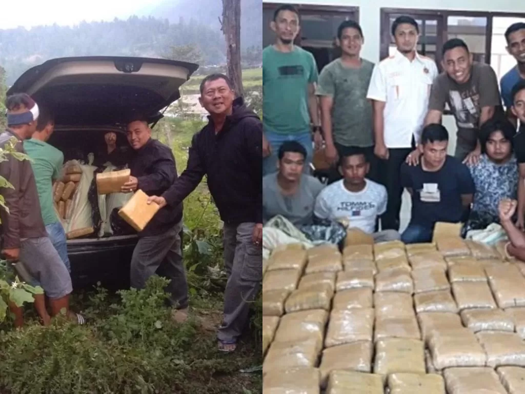 Polisi Gayo Lues mengamankan narkoba 367 kilogram ganja (Istimewa)