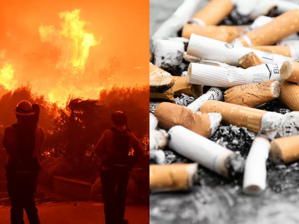 Kiri: Kebakaran hutan Australia (REUTERS/Gen Blen) / Kanan: puntung rokok (Unsplash)