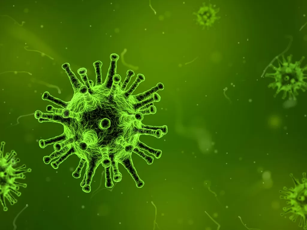 Virus (Pixabay/Arek Socha)